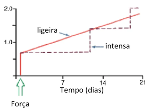 Figura 3. Diagrama da evolução no tempo do movimento dentário consoante a magnitude das forças  ortodônticas