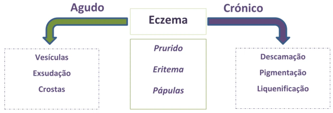 Figura 3 – Esquema cicloevolutivo do eczema  3