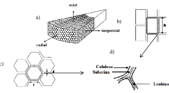 Figura  10 – Representação  esquemática  de secção  interior  da cortiça a) Disposição celular por secção; b)  células  da  secção  tangencial  (h-  altura  do  prisma);  c)  células  da  secção  radial  (l- base do prisma, d- espessura da parede); d) deta