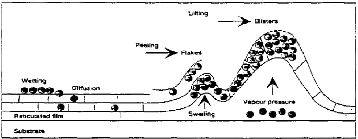 Figura 6 – Passos que ocorrem durante o processo de remoção química do sistema de pintura 34