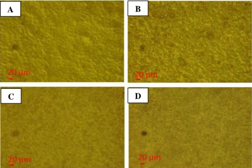 Figura 31 – Imagens da Microscopia Ótica dos revestimentos orgânicos: A- primário (P1), B – primário (P2), C –  acabamento (A1) e D- acabamento (A2)