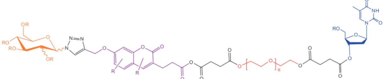 Figure 1. Structure of the generic skeleton of the desired final molecules (orange ¼ carbohydrate; purple ¼ coumarin; red ¼ PEG;