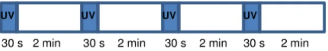 Figure 1. Scheme of the steps in the bleaching treatment session in H 2 O 2 .
