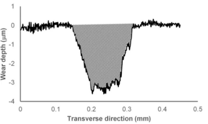 Figure 2. Example of numerical integration of 2D profile of a wear track. 