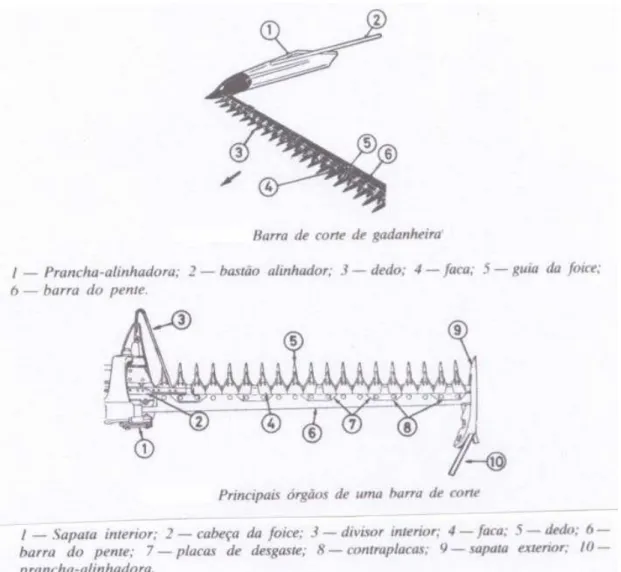 Fig. 12. Barra de corte e principais órgãos da barra de corte de uma gadanheira  alternativa (Briosa, 1984) 