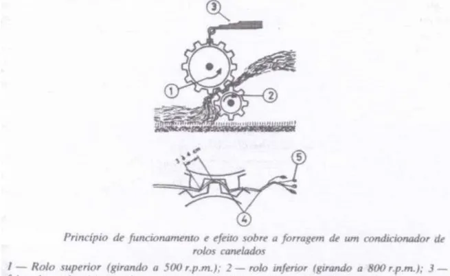 Fig. 16. Esquema de rolos condicionadores canelados (Briosa, 1984) 