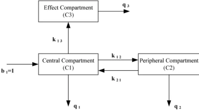 Fig. 2. Compartmental model for the neuromuscular blockade effect of the drug atracurium.