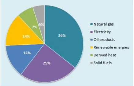 Figure 31. Final energy consumption in EU Households, by energy source (2011) 