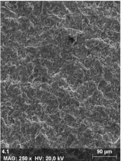 Fig  12  –  Fotografia  de  SEM  de  amostra  tratada com jacto de óxido de alumínio com  partículas de 50  μm  (500x) 