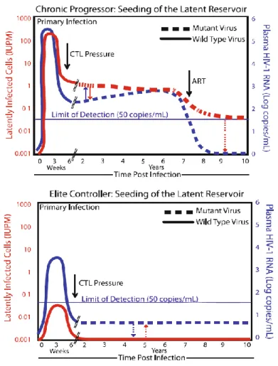 Figura 2. Adaptado de Buckheit et al. 2013 (11).  