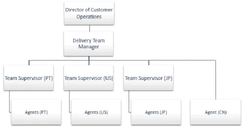 Figure 3 - Delivery Support Team Structure 