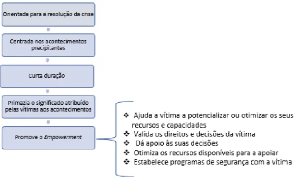 Figura 5 – Requisitos para a intervenção em crise com MVVD 