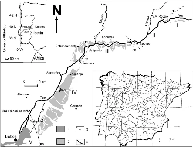 Fig. 6. Principais troços do rio Tejo em Portugal (Bacia do Baixo Tejo): I – da fronteira ao Arneiro (depressões de Ródão e Arnei- Arnei-ro; um traçado geral E-W constituído, principalmente, de segmentos poligonais); II  – do Arneiro ao Gavião (NE–SW); III