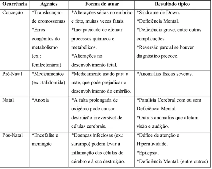 Tabela 4 – Causas da Multideficiência (adaptado de Almeida A., 2011). 