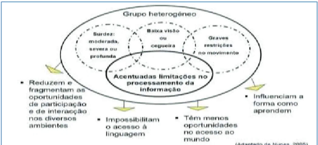 Figura 1 - A Heterogeneidade na Multideficiência. (Nunes, 2005b, p. 10) 