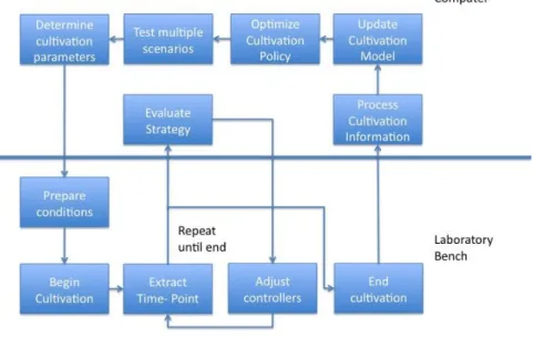 Figure 14 Optimization workflow. 