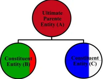 Fig. 1 MNE Structure (example) 