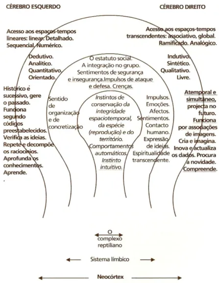 Figura  10.  Os  dois  hemisférios  do  cérebro  e  as  principais  funções  dos  três  níveis  do  cérebro  humano  segundo  os  trabalhos  de  R