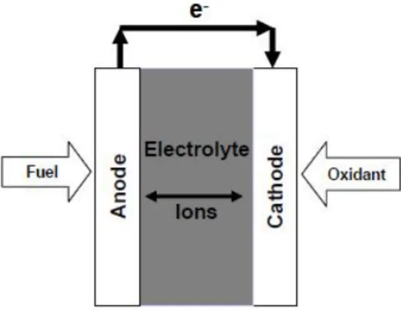 Figure 2.1: Basic components and the fuel cell way of function. [1]
