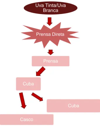 Fig. 6 - Esquema-resumo de uma vinificação típica de vinhos brancos do Douro (Filipe et al., 1990)