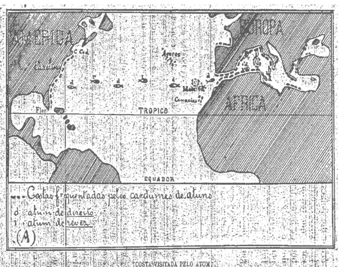 Figura n.º 3. A distribuição regional (da zona atlântica e mediterrânica) do Atum 216 
