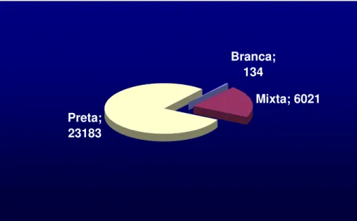 Figura n.º: 10. Referente a população do concelho de Santa Catarina, 1909 75 . 