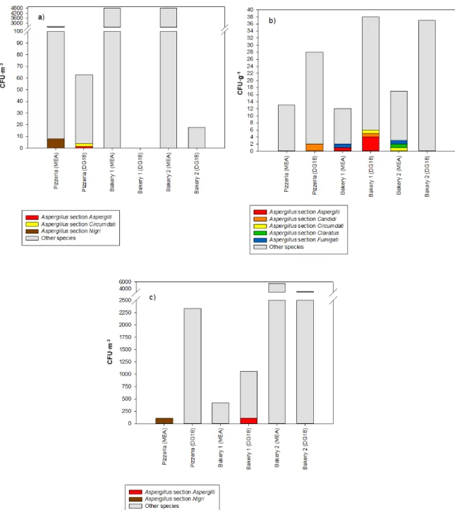 Figure 3. Aspergillus sections found in (a) IOM filter samples, (b) settled dust samples, and (c) EDC  samples