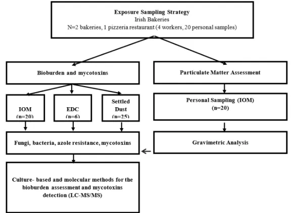 Figure 1. Sampling approach used for the occupational exposure assessment. EDC—electrostatic dust cloths.