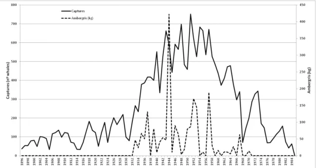 Figure 3 – Number of captured sperm whales and amount (in kilograms) of ambergris obtained during the period of the Azorean land-based whaling.