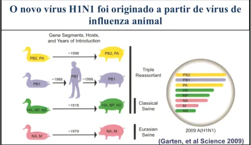 Figura 9 – Origem do vírus H1N1