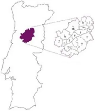 Figura 6- Concelhos da Região do Dão (Fonte: Annualia, 2013). 