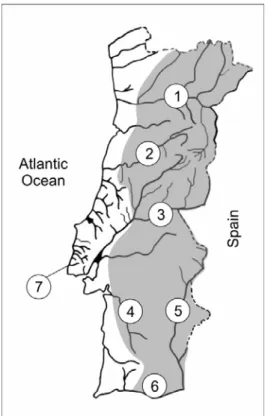 Figure 1 – Distribution area of S. alburnoides in Portugal (in grey)  and sampling locations: 1 – Douro drainage (River Sabor); 2 –  Mondego drainage (River Ceira); 3 – Tagus drainage (Rivers Sorraia,  Zêzere, Erges and Ocreza); 4– River Sado; 5 – Guadiana