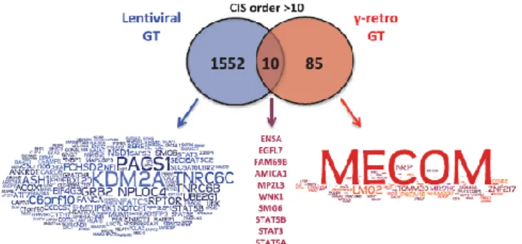 Figure  1.2  –  Word  cloud  of  common  integration  sites  in  gene  therapy  clinical  trials  with  lentivirus  (blue)  and  gamma-retrovirus (red)