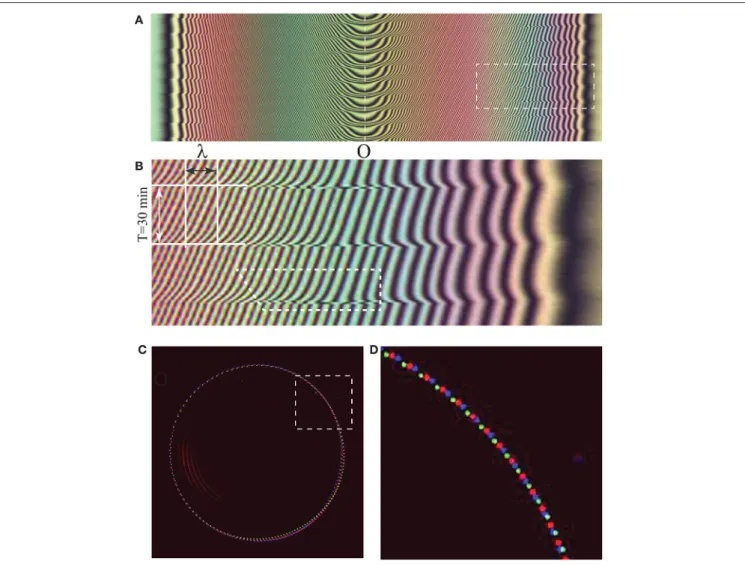 FIGURE 9 | Cladis-Brand [11] dynamically stable state C-B1 of the phase winding in the Circular Dowsons’ Collider