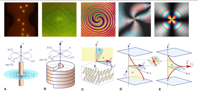 FIGURE 1 | Topological defects in systems characterized by complex order parameters: (A) vortices in a superconductor [2], (B) dislocation in a BPI crystal, (C) disclination in a smectic C free-standing film, (D) umbilic in a homeotropic nematic layer abov