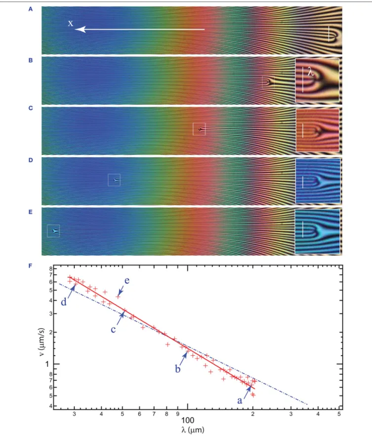 FIGURE 5 | Motion of the dowson d + in the phase gradient generated in the dowson collider DDC