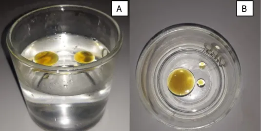 Figura 14: Experimento realizado com água e óleo  Fonte: Elaborado pelos autores (2019) 