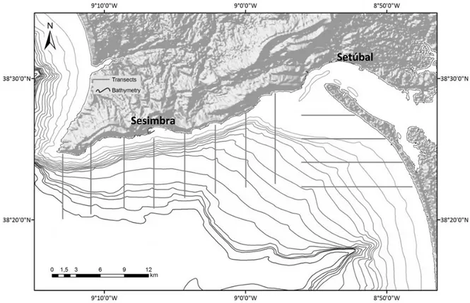 Figure 1. Arrábida and Troia’s shores, showing the linear transects executed for this study