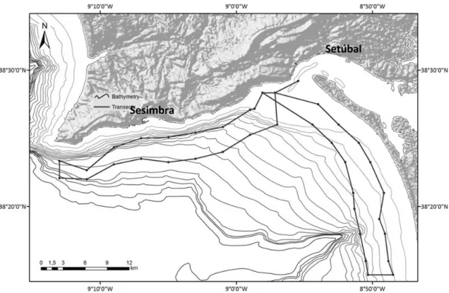 Figure 2. Arrábida and Troia’s shores, showing the predefined transects executed by Gaspar (2003)