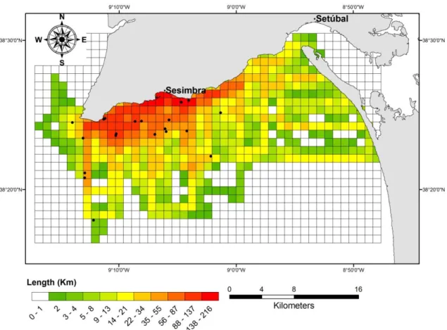 Figure 3. Survey effort (km) between 2007 and 2011 and bottlenose dolphin sightings (black dots) in  Arrábida and Tróia shores.