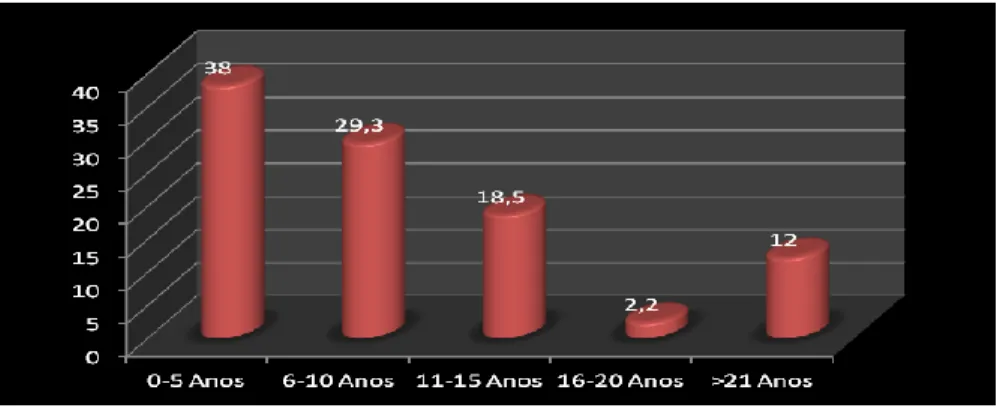 Figur a 13 - Te mpo de ser viço dos colabor adores no IPP  