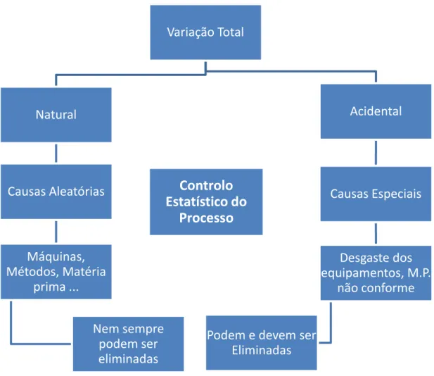 Figura 6 - Esquema das Causas de Variação do Processo (adaptado e modificado de Vieira, J