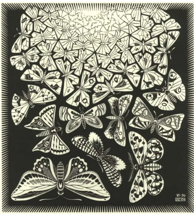 Figura 1 - Escher (1950) Butterflies
