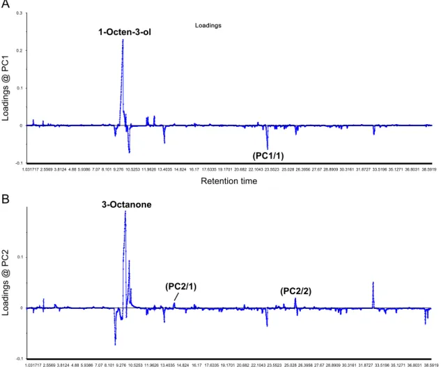Fig. 5. Loadings plots corresponding to PC1 (A) and PC2 (B) resulting from PCA of volatile proﬁling experiment data