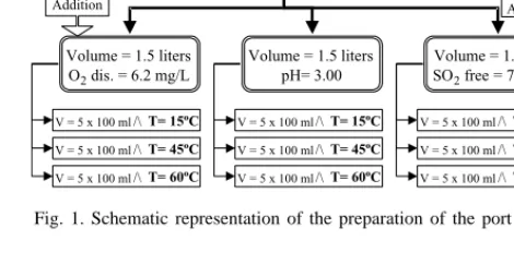 Fig. 1. Schematic representation of the preparation of the port wine samples (Wine Group 3).