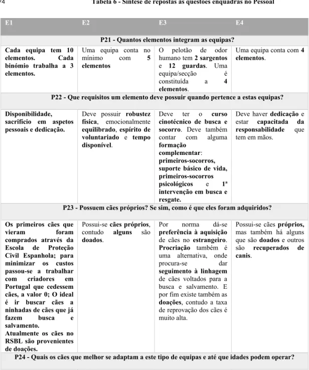 Tabela 6 - Síntese de repostas às questões enquadras no Pessoal