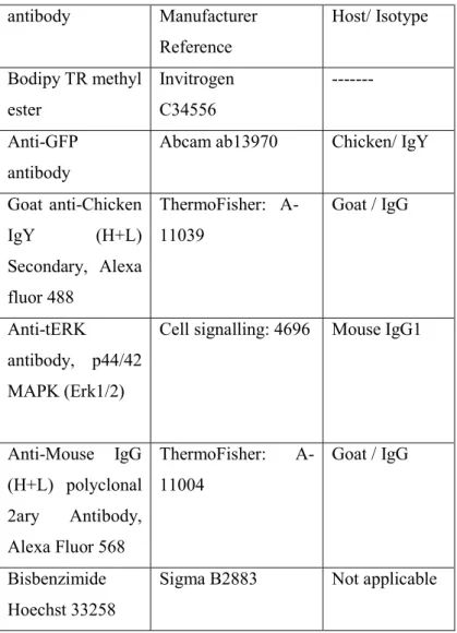 Table 2.1: Table of the antibodies and stains used for all protocols. 