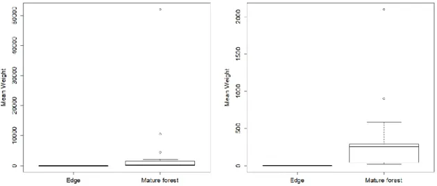Figure 3.1 - Differences in median weight of frugivores at the forest edge and mature forest forest