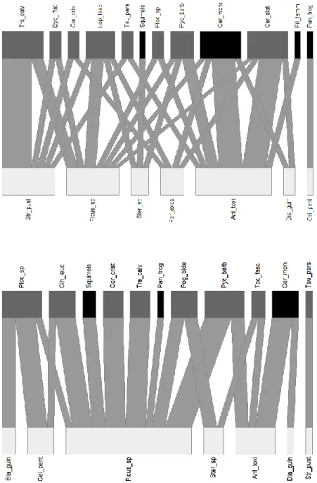 Figure 3.2 - Quantitative plant-frugivore network of the mature forest forest (top) and forest edge (bottom) in the Cantanhez  National Park, Guinea-Bissau