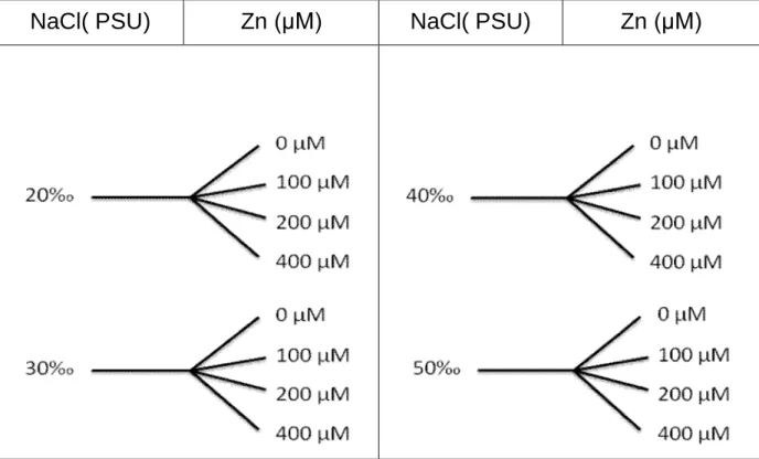 Table 1. Experimental design of the concentrations of Zn and NaCl used in this work. The 20  PSU NaCl worked was zero